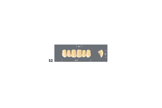 DENTI MAJOR PLUS COMP S2