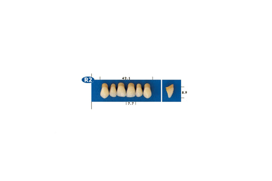DENTI GOLDENT EXCLUSIVE R2