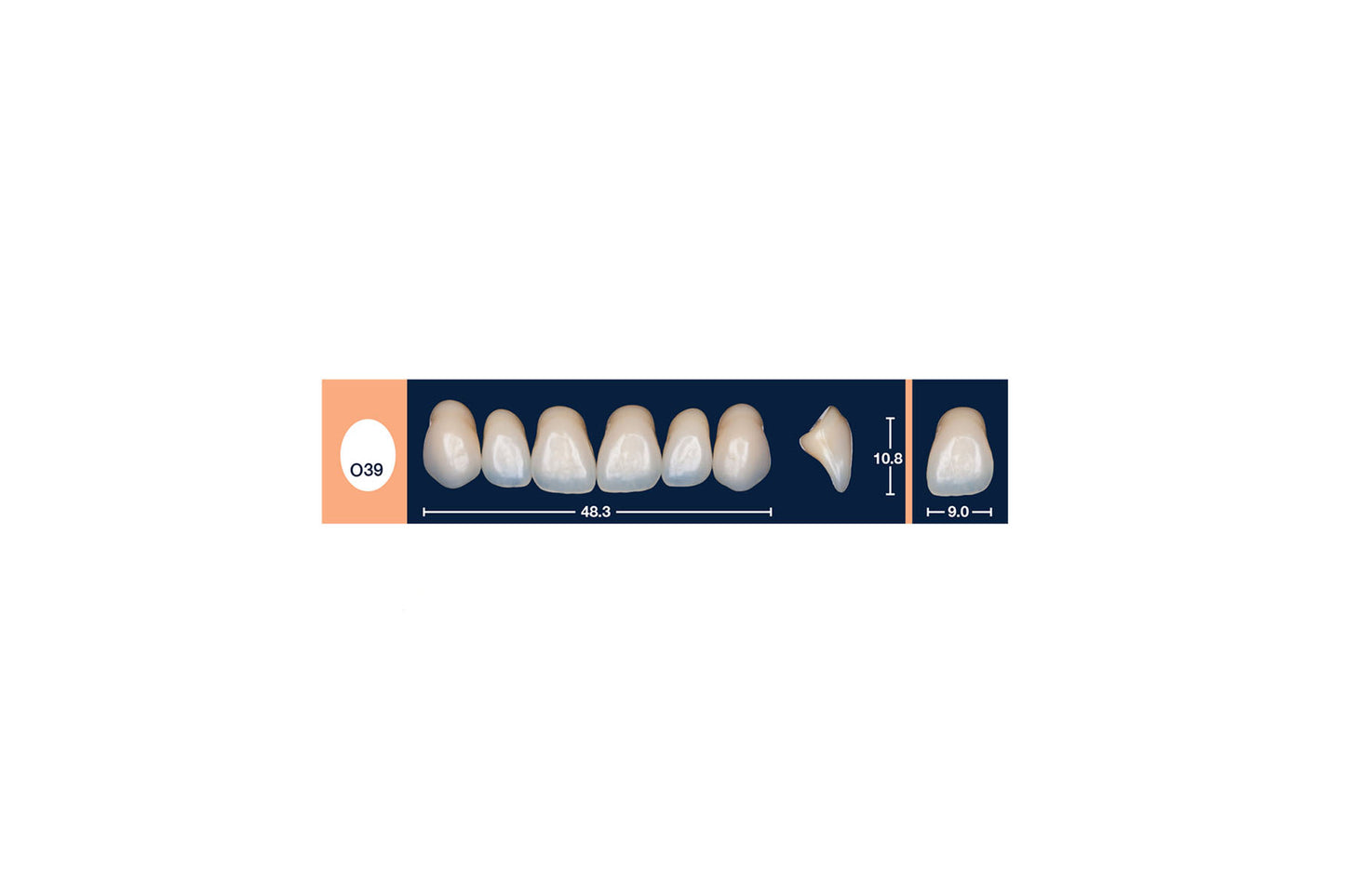 DENTI 4 NATUR O39