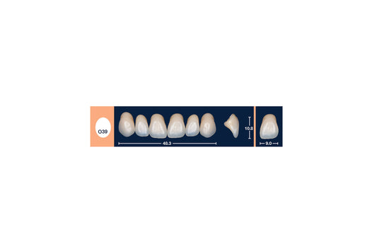 DENTI 4 NATUR O39