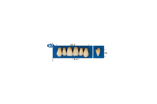 DENTI GOLDENT EXCLUSIVE R7