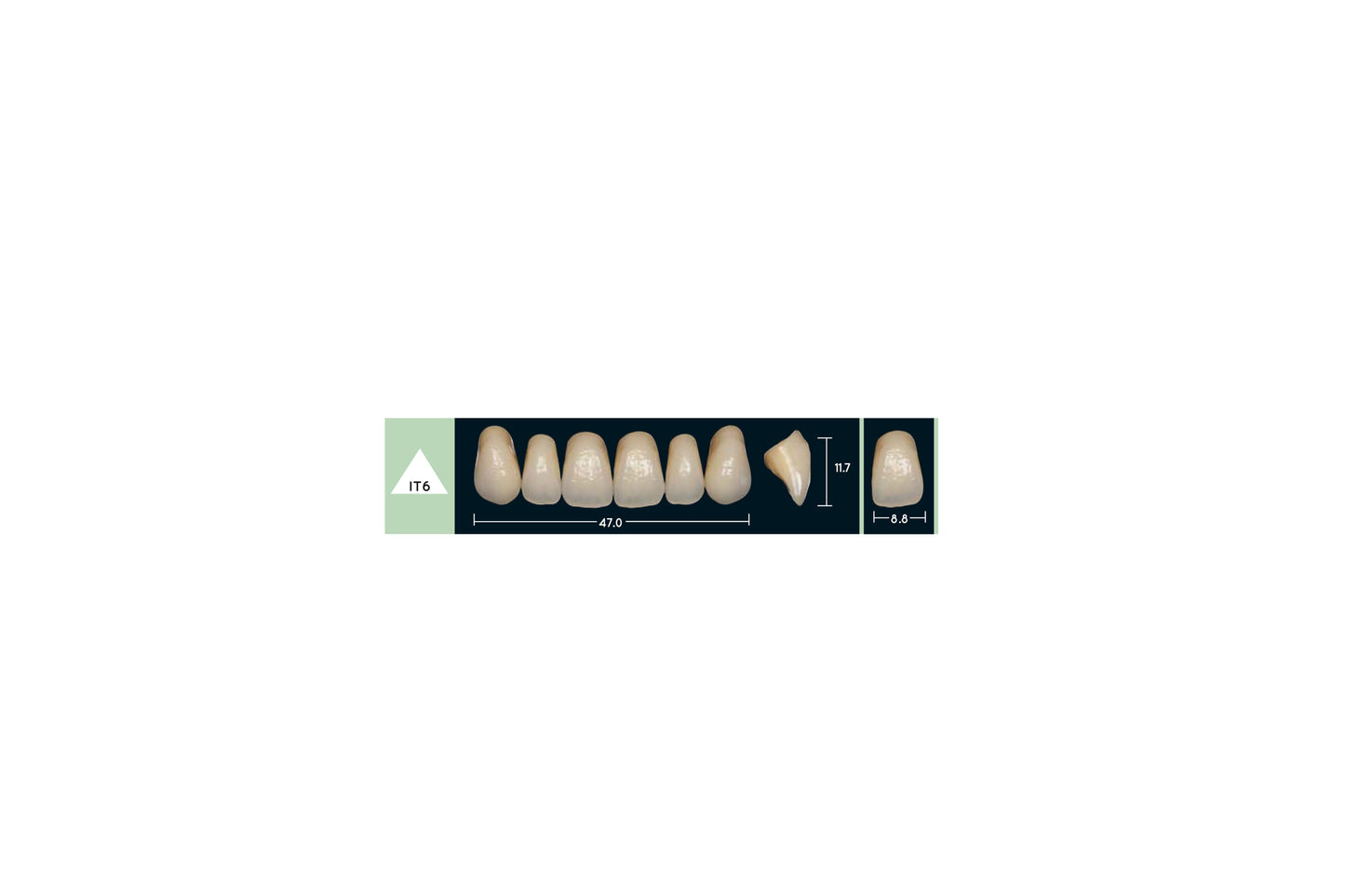 DENTI ENIGMA LIFE+ IT6