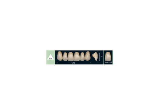 DENTI ENIGMA LIFE+ IT6