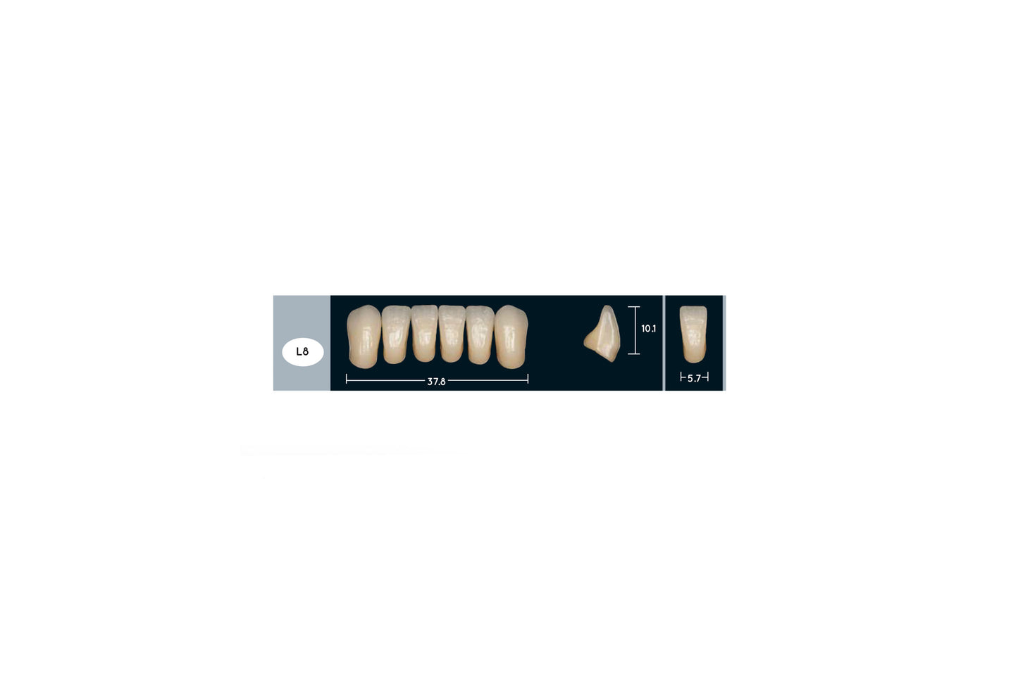 DENTI ENIGMA LIFE+ L8