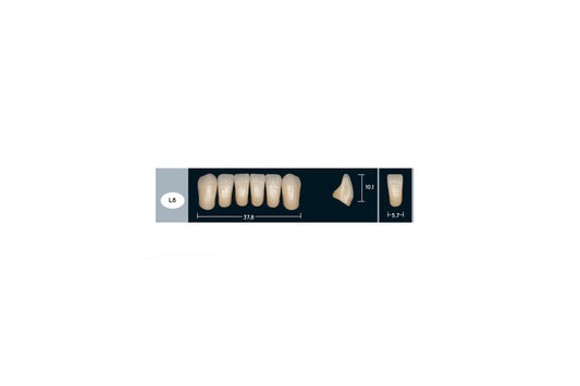 DENTI ENIGMA LIFE+ L8