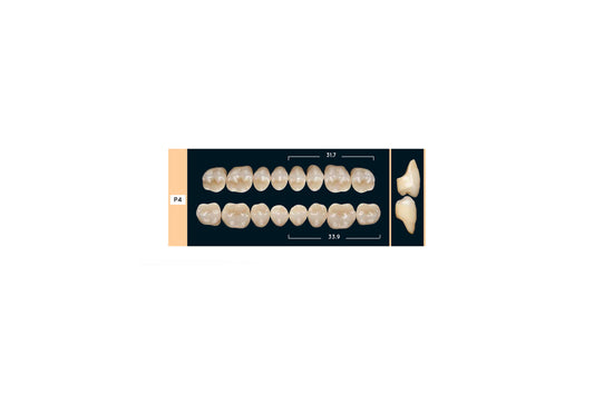 DENTI ENIGMA LIFE+ P4 INF