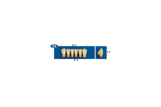 DENTI GOLDENT EXCLUSIVE Z5