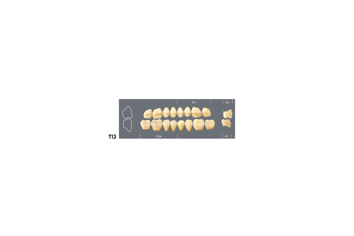 DENTI MAJOR PLUS COMP T13 SUP