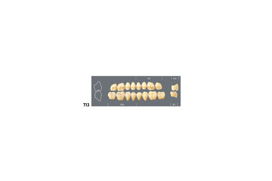 DENTI MAJOR PLUS COMP T13 SUP