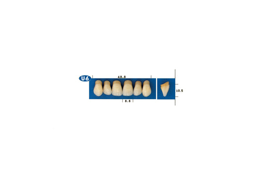 DENTI GOLDENT EXCLUSIVE U6