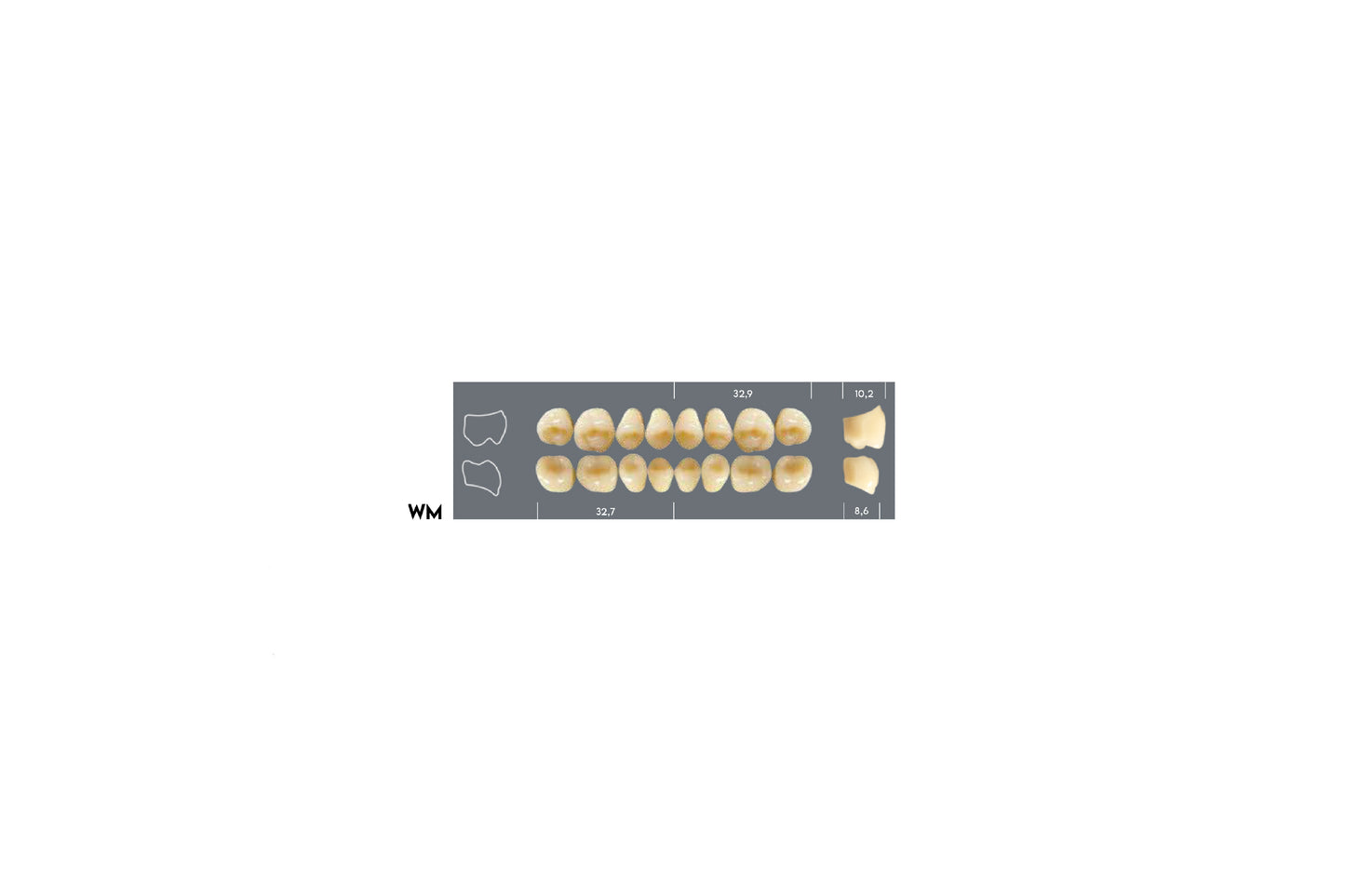 DENTI MAJOR PLUS COMP WM INF