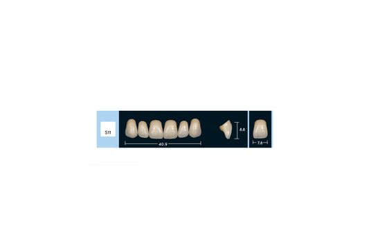 DENTI ENIGMA LIFE+ S11