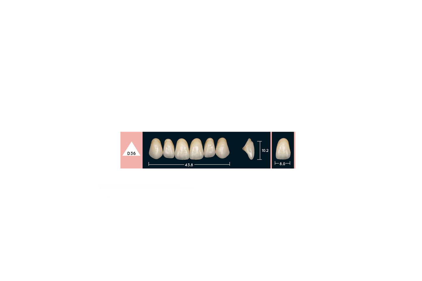 DENTI ENIGMA LIFE+ D36