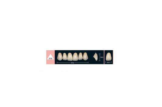 DENTI ENIGMA LIFE+ D36