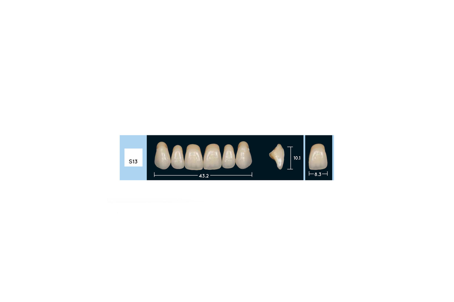 DENTI ENIGMA LIFE+ S13