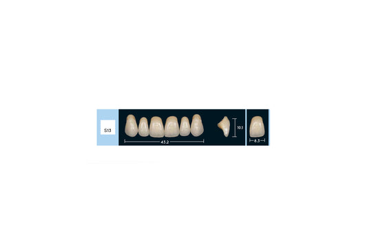 DENTI ENIGMA LIFE+ S13