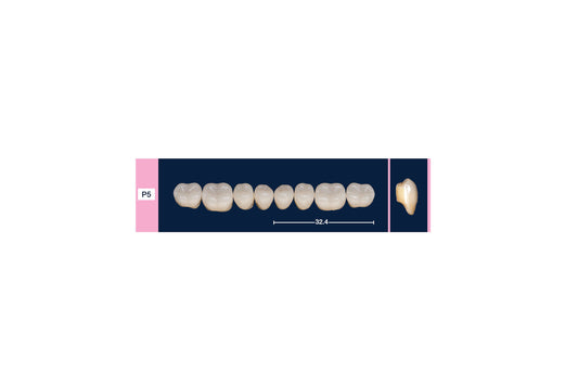 DENTI 4 NATUR P5 INF