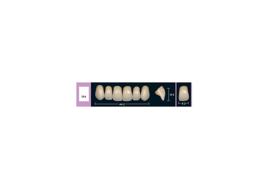 DENTI ENIGMA LIFE+ IR4