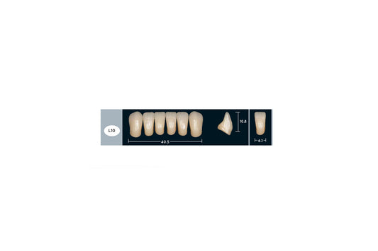 DENTI ENIGMA LIFE+ L10