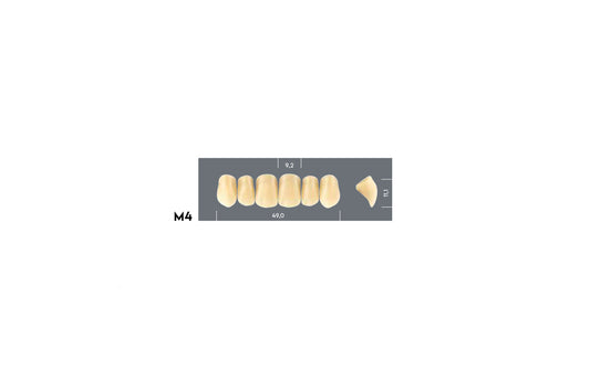DENTI MAJOR PLUS COMP M4