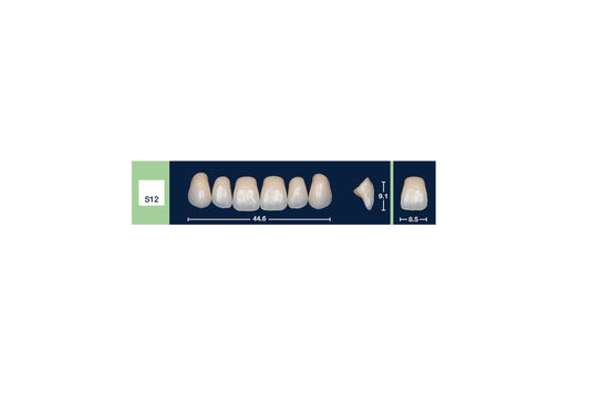 DENTI 4 NATUR S12