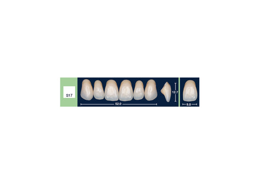 DENTI 4 NATUR S17