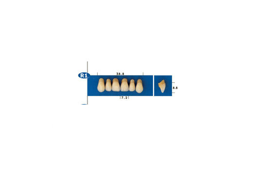 DENTI GOLDENT EXCLUSIVE R1