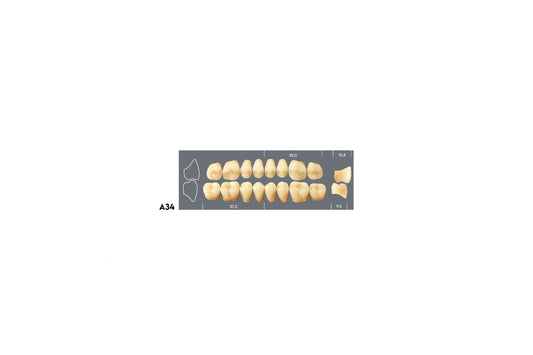 DENTI MAJOR PLUS COMP A34 SUP