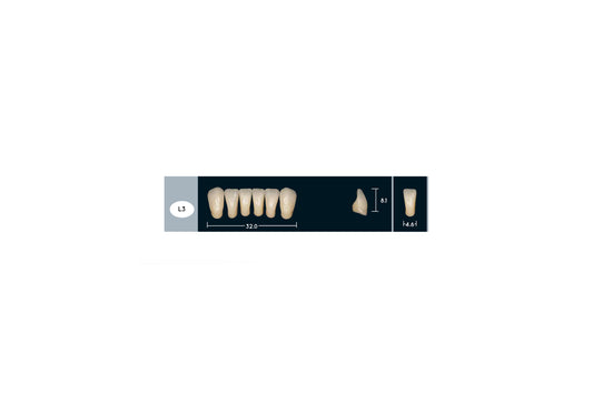 DENTI ENIGMA LIFE+ L3