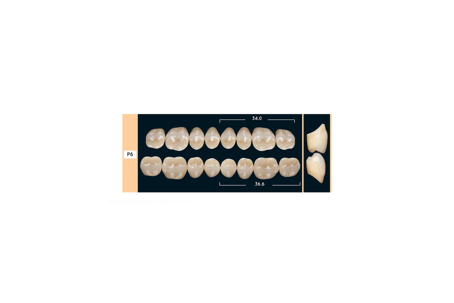 DENTI ENIGMA LIFE+ P6 SUP