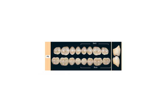 DENTI ENIGMA LIFE+ P6 INF