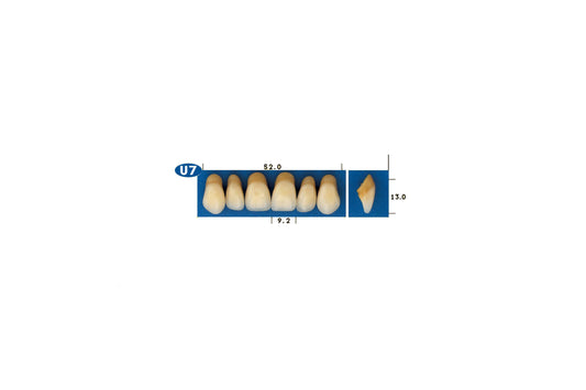 DENTI GOLDENT EXCLUSIVE U7
