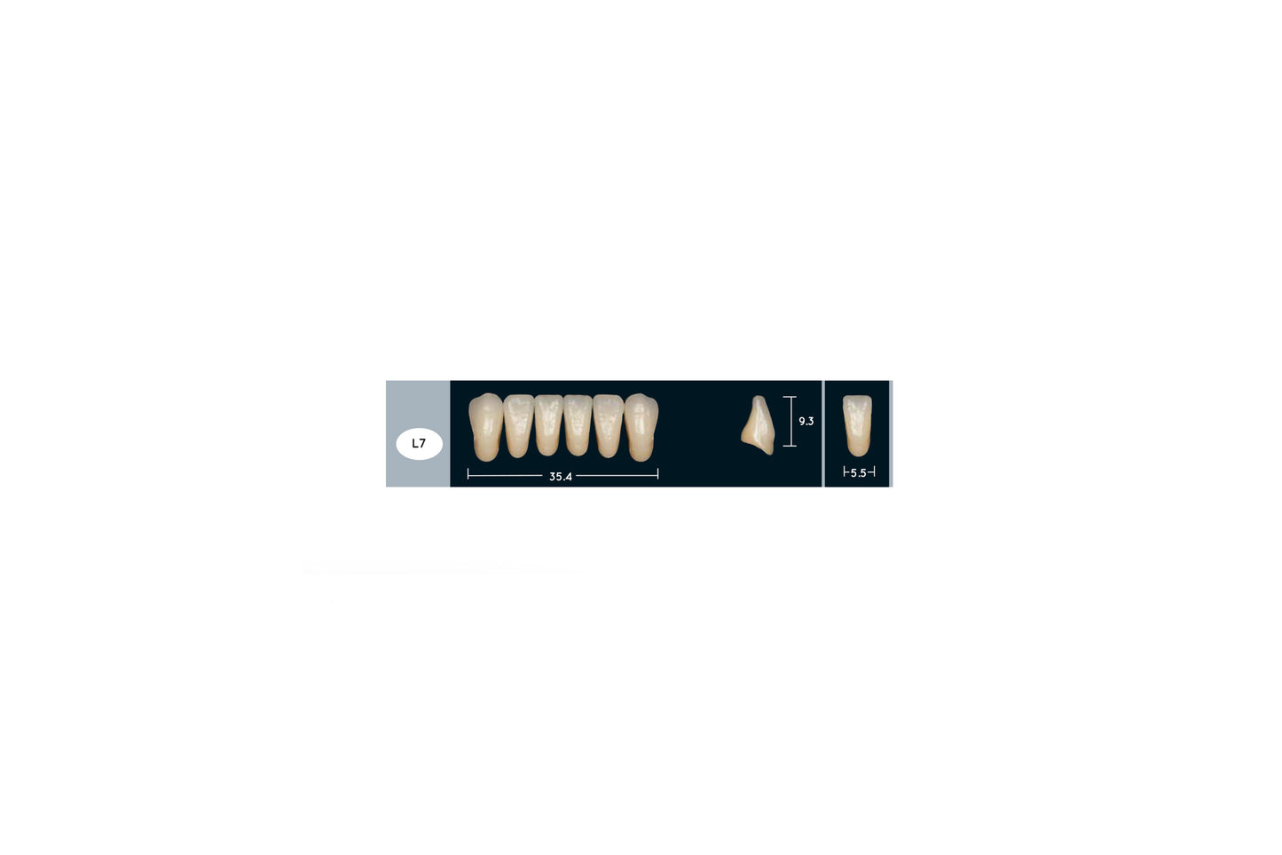 DENTI ENIGMA LIFE+ L7
