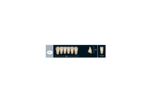 DENTI ENIGMA LIFE+ L7