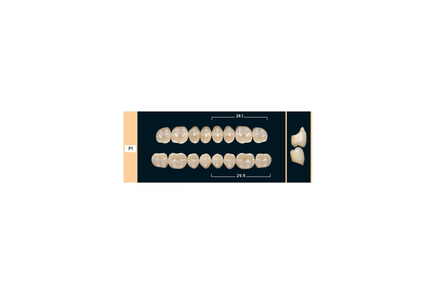 DENTI ENIGMA LIFE+ P1 SUP