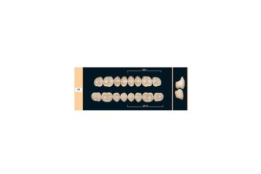 DENTI ENIGMA LIFE+ P1 SUP