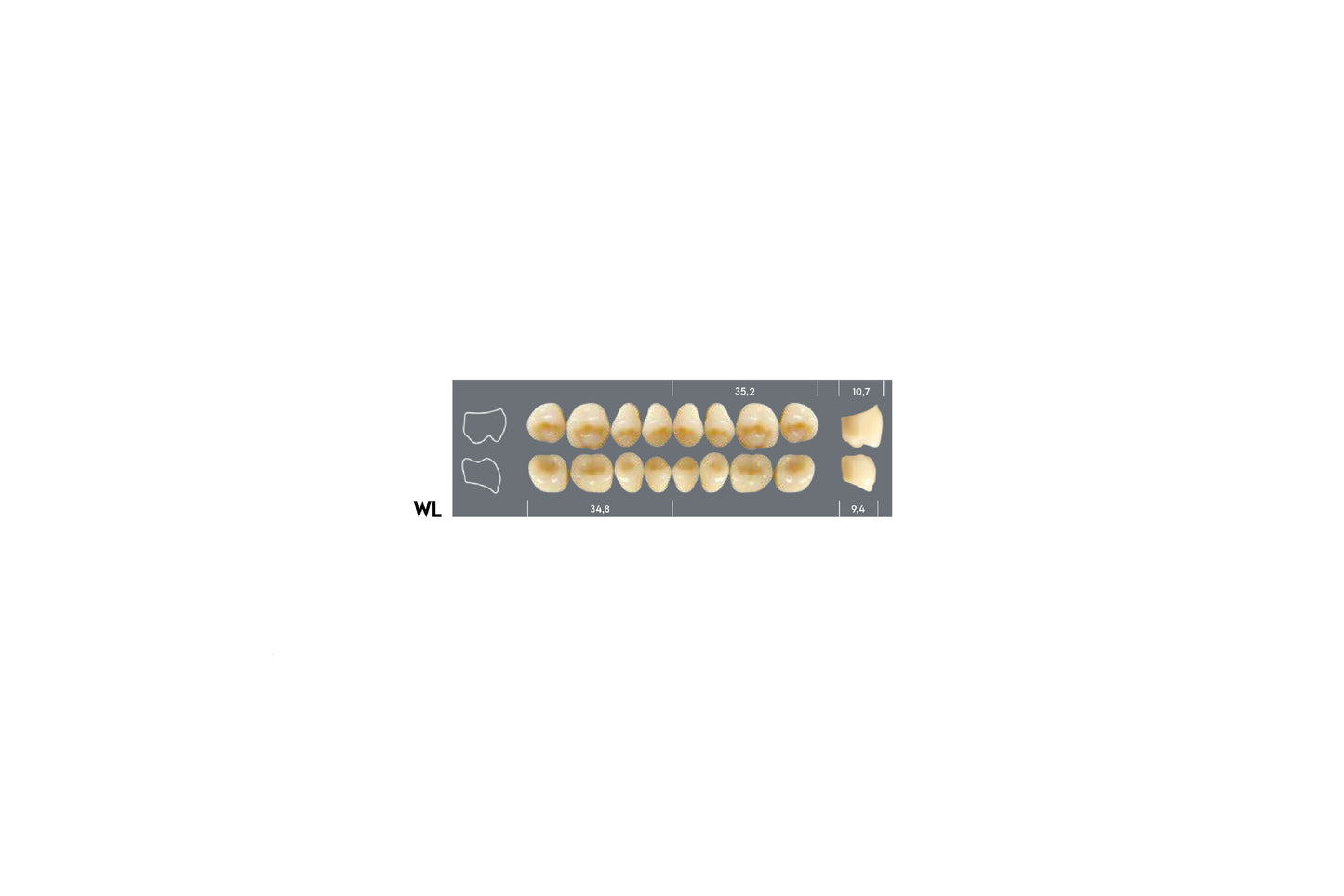 DENTI MAJOR PLUS COMP WL SUP
