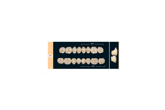 DENTI ENIGMA LIFE+ P3 INF