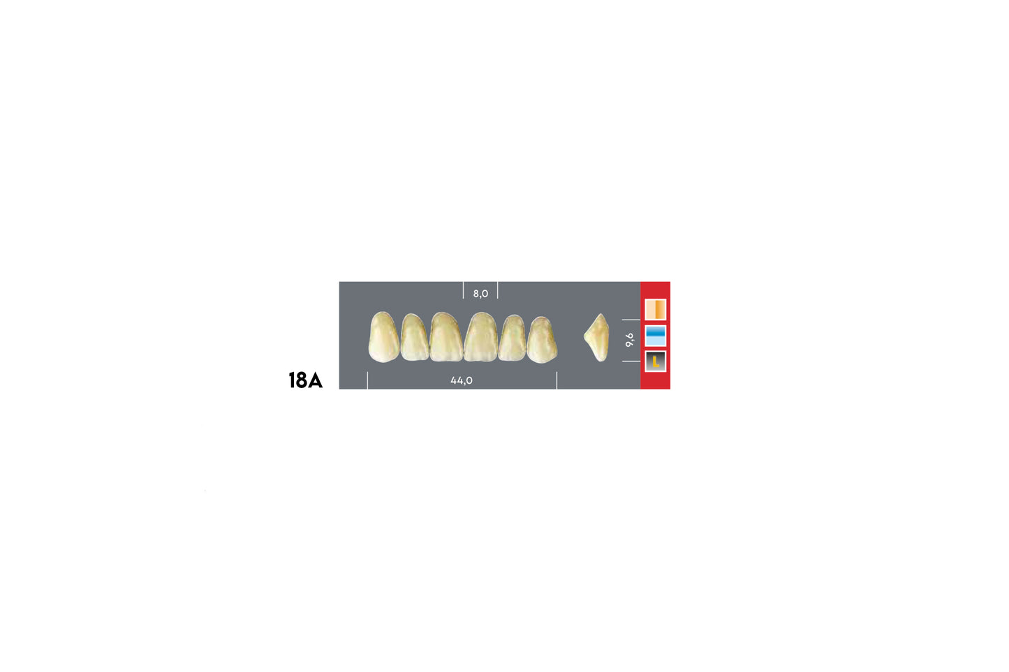 DENTI MAJOR DENT 18A