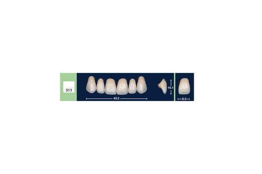 DENTI 4 NATUR S13