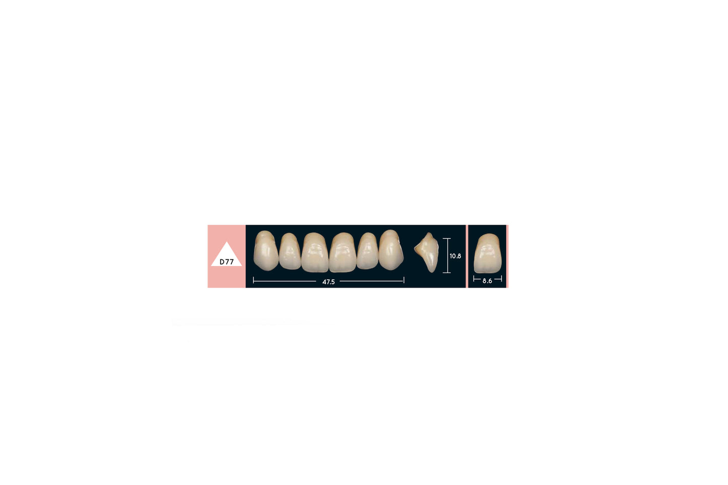 DENTI ENIGMA LIFE+ D77