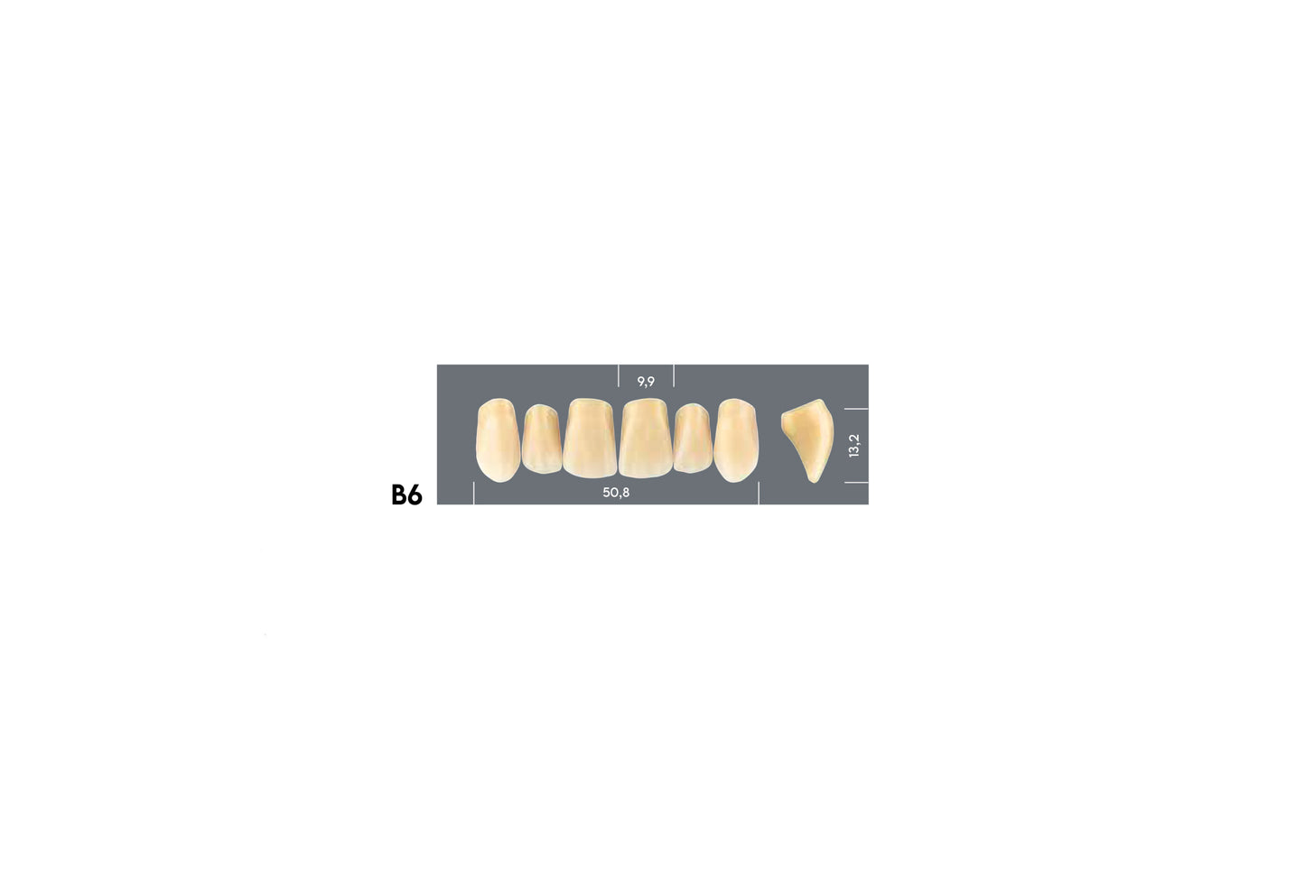 DENTI MAJOR PLUS COMP B6