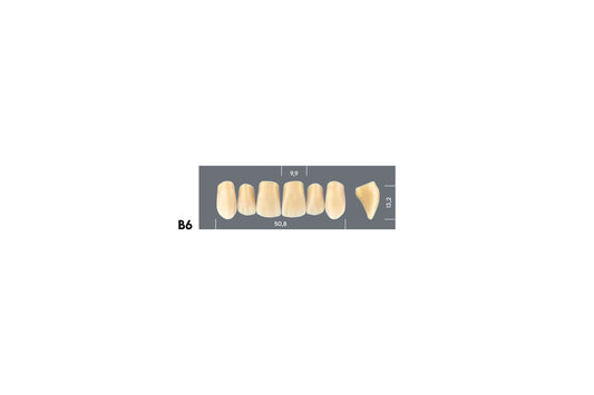 DENTI MAJOR PLUS COMP B6
