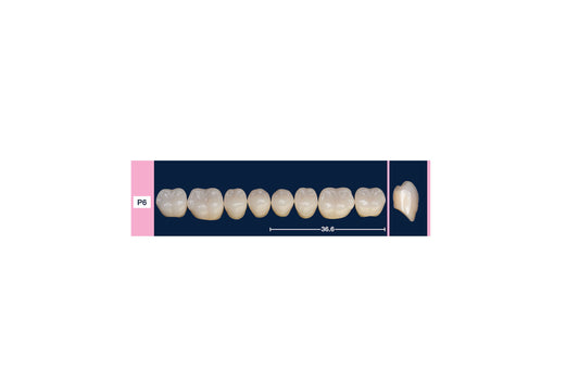 DENTI 4 NATUR P6 INF
