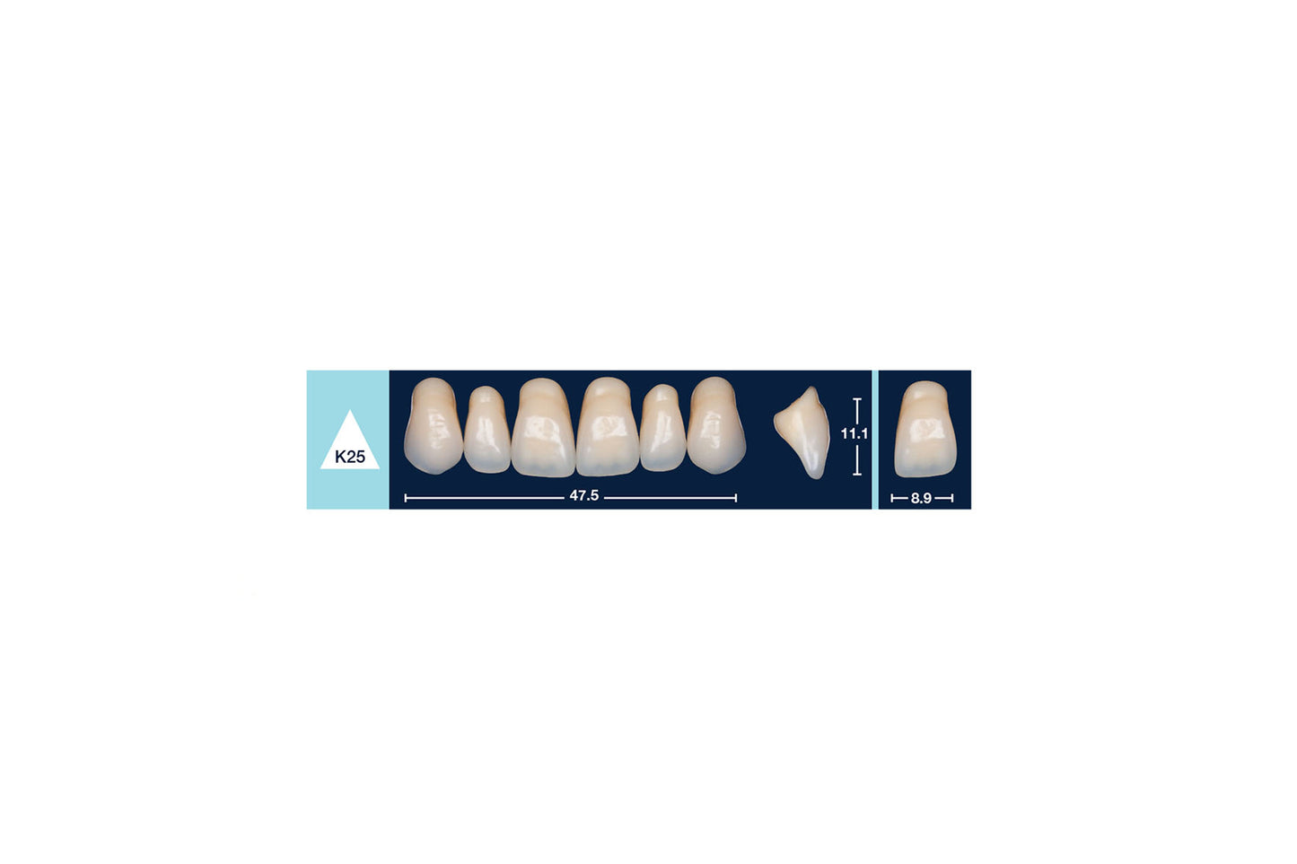 DENTI 4 NATUR K25