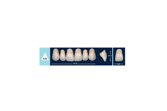 DENTI 4 NATUR K25