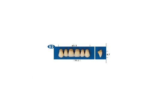 DENTI GOLDENT EXCLUSIVE U2