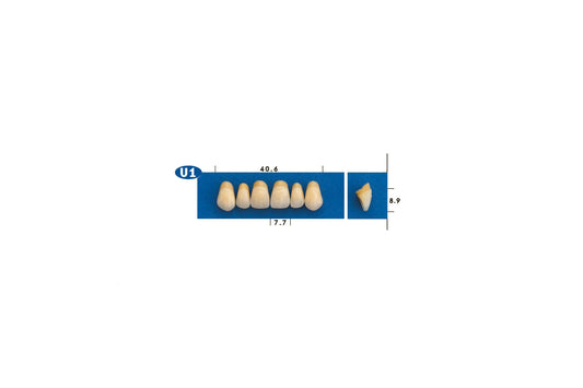 DENTI GOLDENT EXCLUSIVE U1