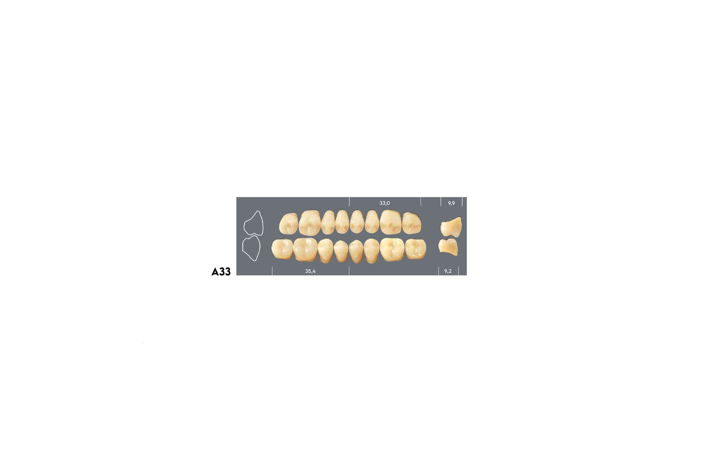 DENTI MAJOR PLUS COMP A33 SUP