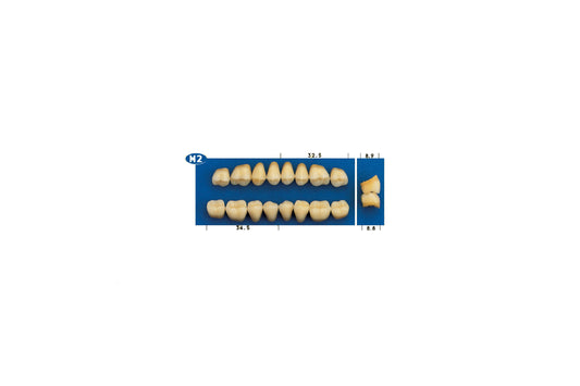 DENTI GOLDENT EXCLUSIVE M2 INF